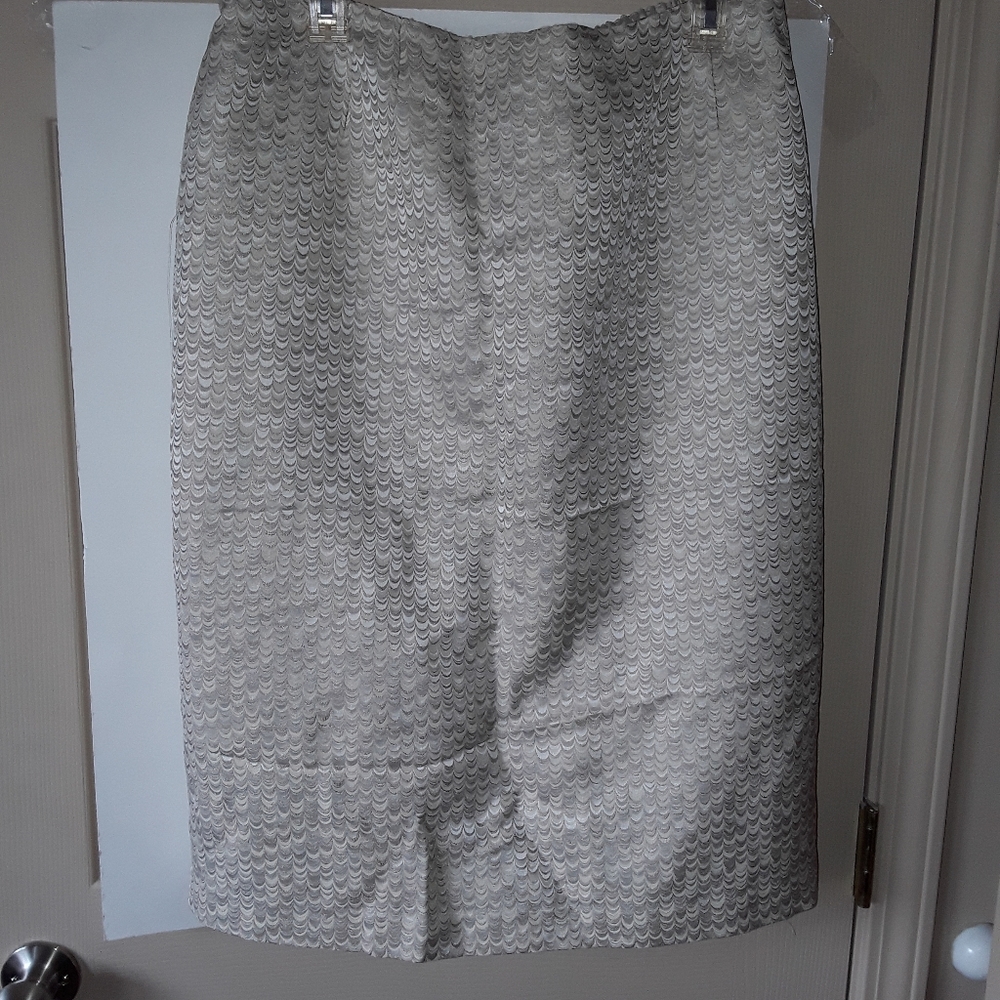 Ellen Tracy A-Line Skirt